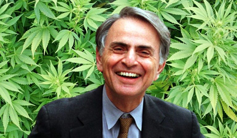 Carl Sagan wrote an essay about why he liked smoking marijuana